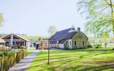 De locatie